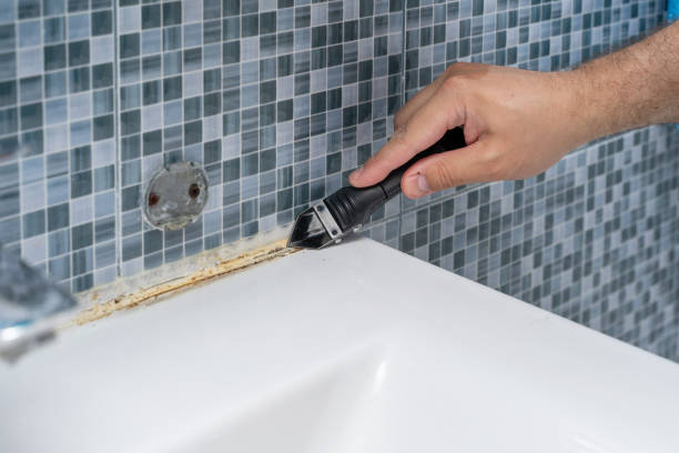 Best Mold Remediation Experts  in Sikeston, MO
